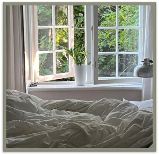Edelsminde Bed & Breakfast Haslev Экстерьер фото